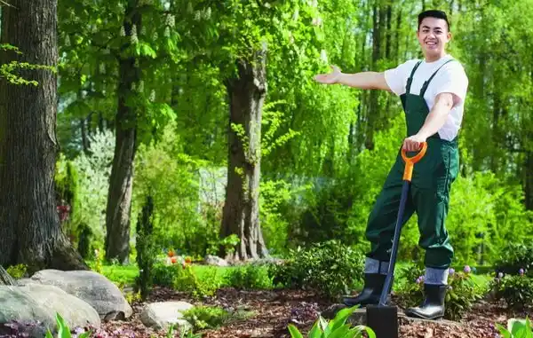 landscaping services New Whiteland